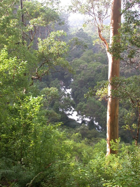 Warren Lookout
